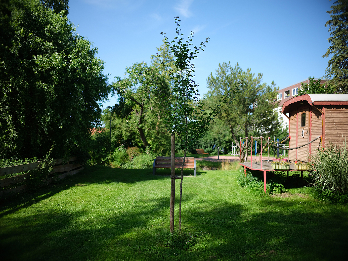 Apfelbaum und Zirkuswagen an der Wabe in Neuerkerode